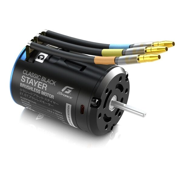 Classic Black Stayer Brushless Motor (21.5T)